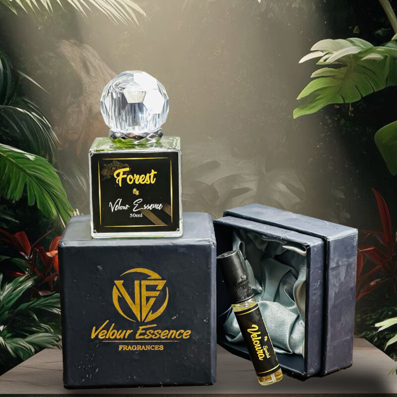 Forest - Image 3